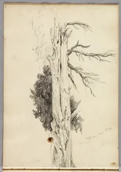Cypress, Villa d